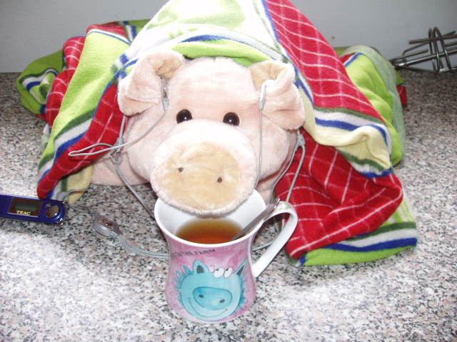 P1010059.JPG