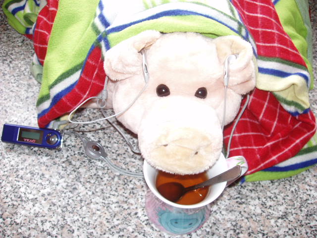 P1010060.JPG
