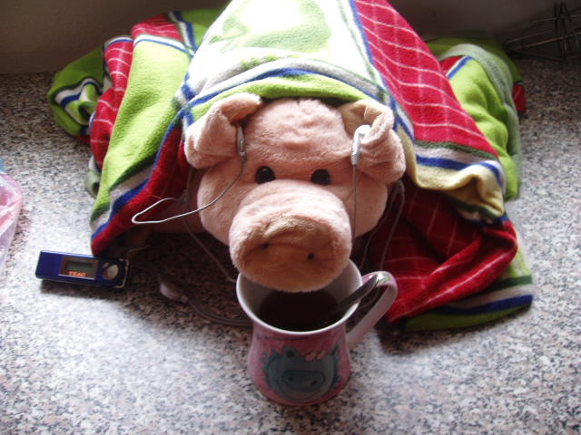 P1010061.JPG