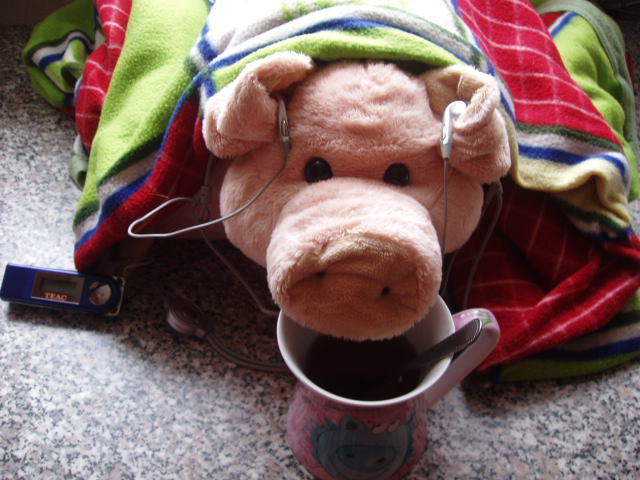 P1010062.JPG